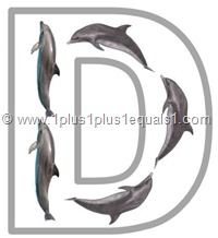 d dolphin