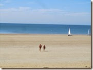 IMG_8529 IMG_8529
