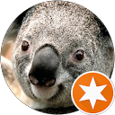 Lars Sivertsson profile picture