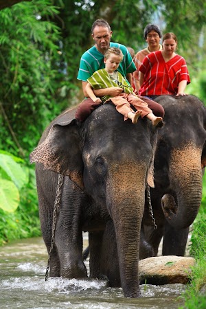 Imagini Thailanda: Plimbare pe elefant, Patara, Thailanda
