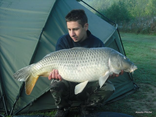 Etang le Tilleul photo #330