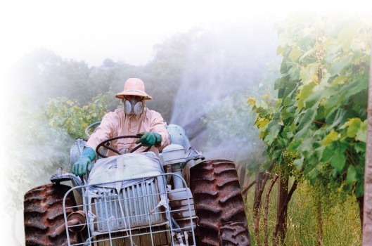 Câncer ocupacional poderá afetar pelo 20 mil brasileiros em 2012