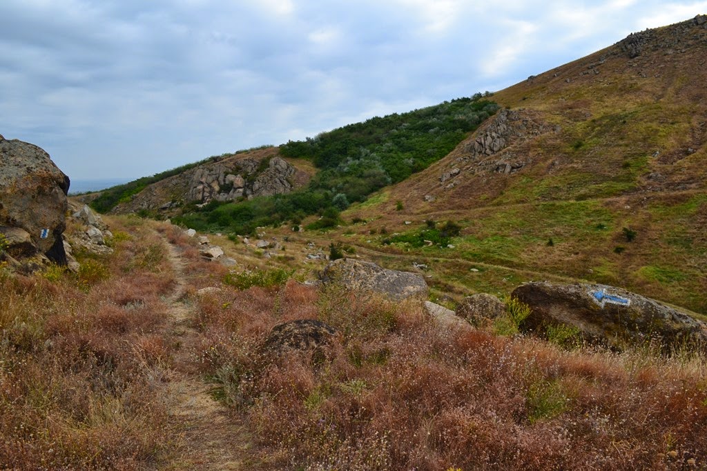 [DSC_62463.jpg]