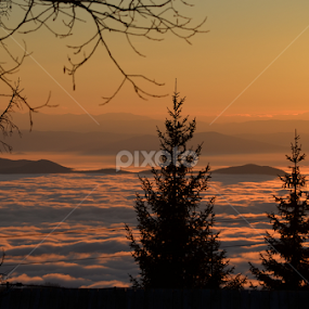 Vista by Vladimir Bogovac - Landscapes Sunsets & Sunrises