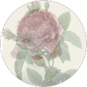 Image Google de Margot Ginek