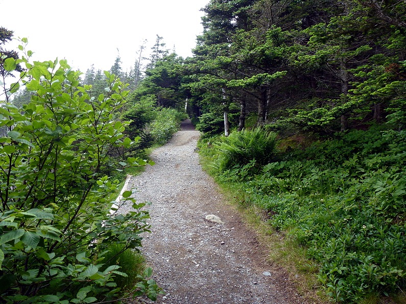 [04e---Hike---Trailhead-to-Green-Poin%255B1%255D.jpg]