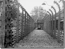 Campo di concentramento di Auschwitz