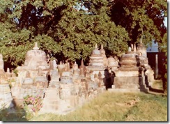 SueReno_Mahabodhi Stupas 1