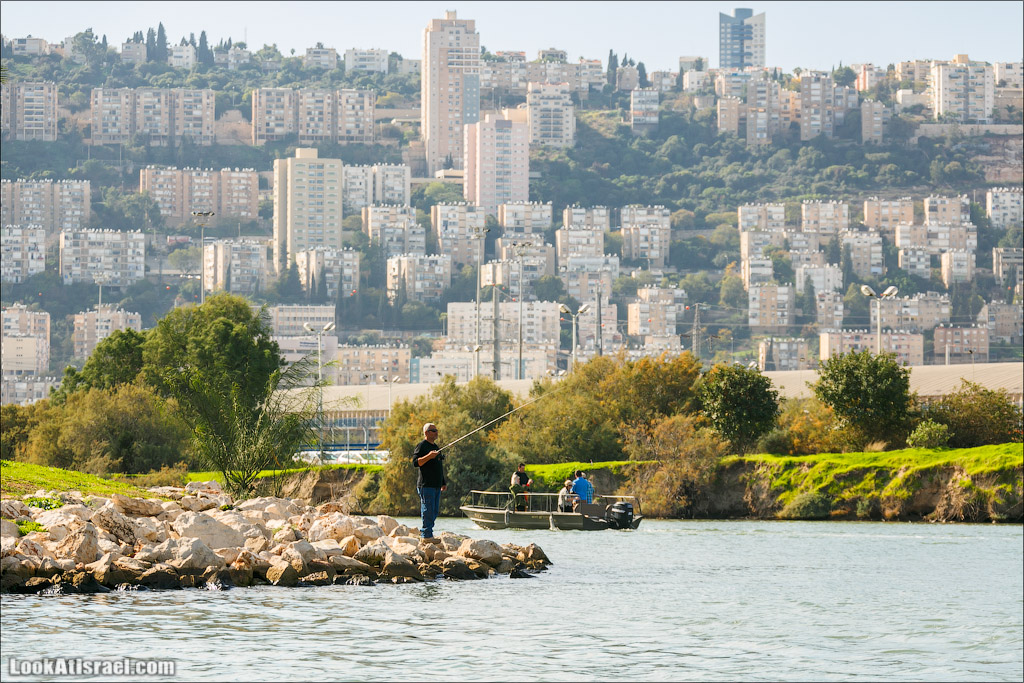 LookAtIsrael.com - Восстановление реки Кишон | Recovering Kishon river | שיחזור נחל קישון