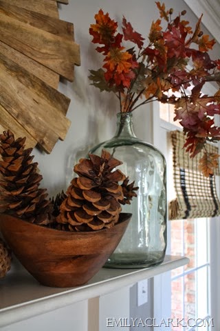 [Pinecones%255B9%255D.jpg]