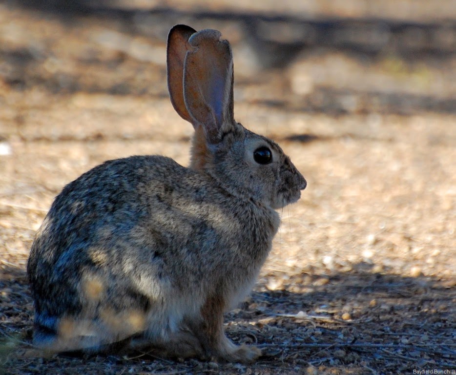 [DSC_3429%255B4%255D.jpg]