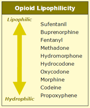 Opioid Lipophilicty