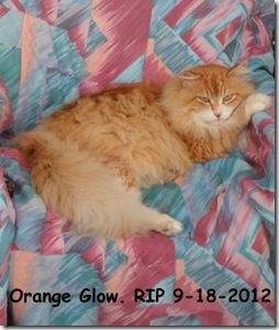 Orange-Glow-RIP.9.18.2012