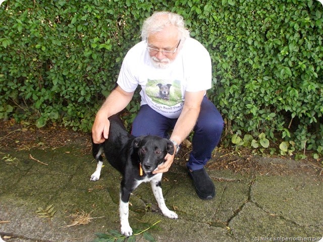 dog training whilst wearing our exclusive t-shirt