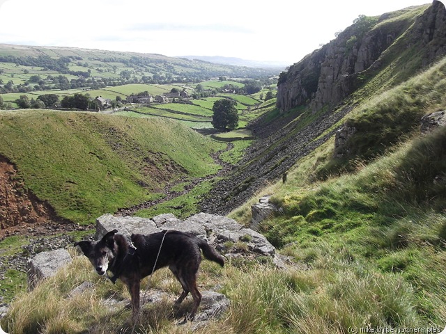 holwick scar and superdawg