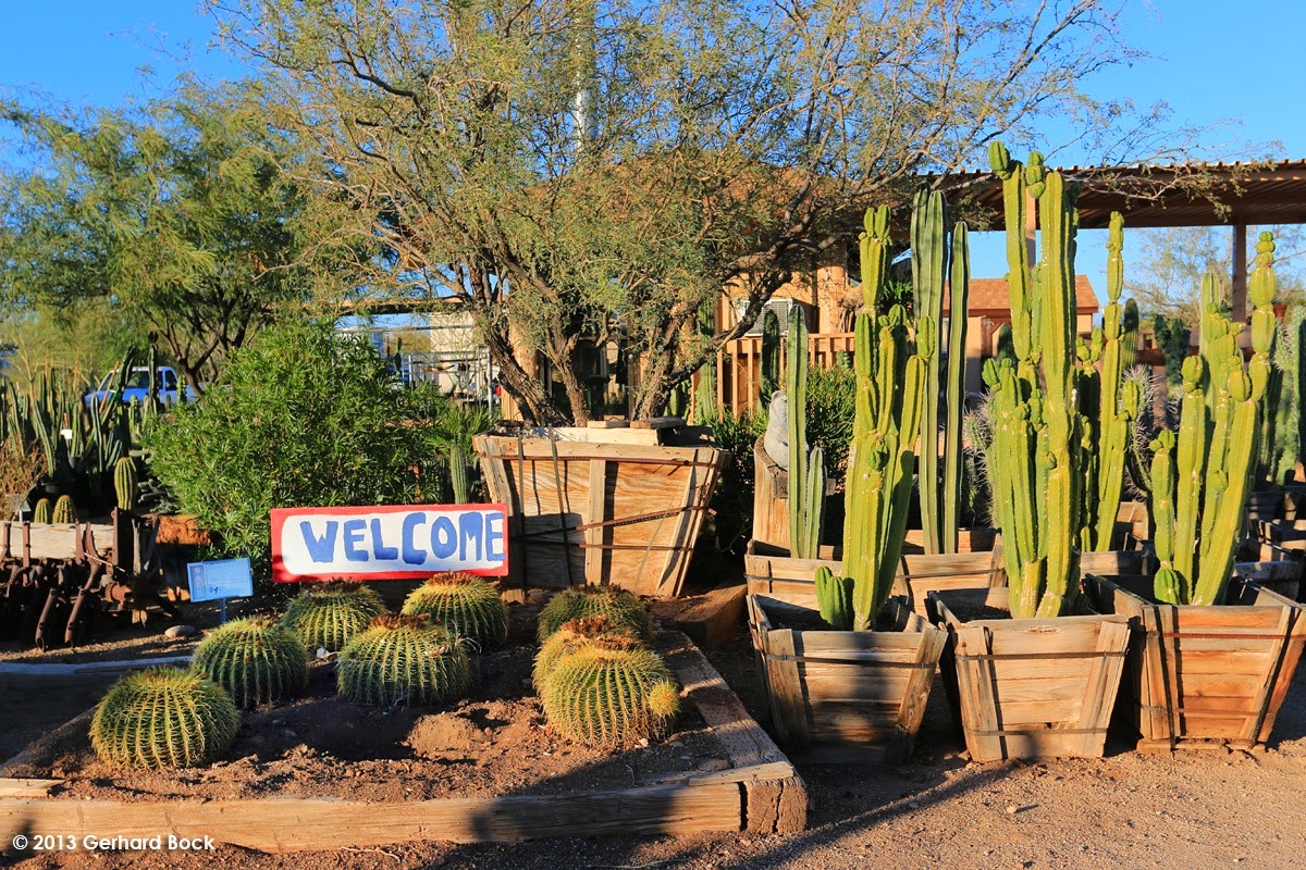 [131205_OldWestCactusFarmPHX_064%255B6%255D.jpg]