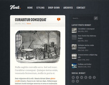 Float Blogger Teması