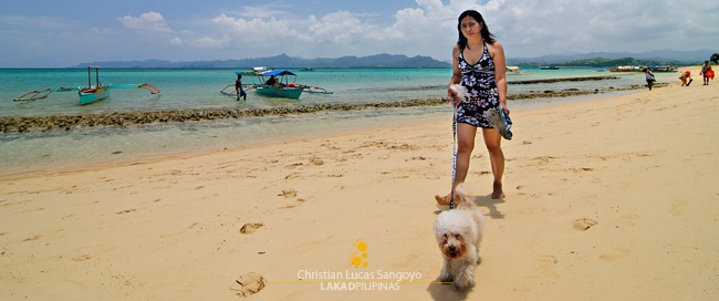 A Beach-Goer with Her Dog on Leash at Caramoan's Bagieng Island