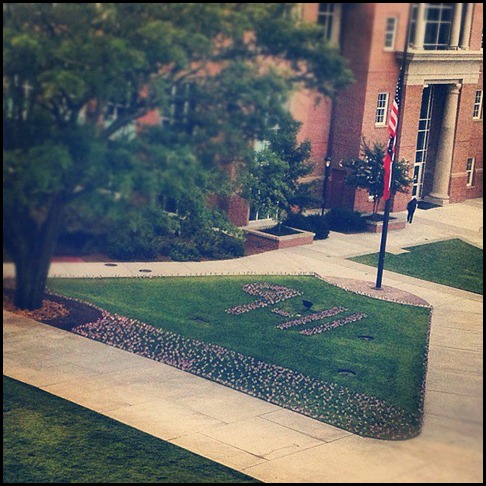 Flags on the UGA campus in memory of those who lost their lives.