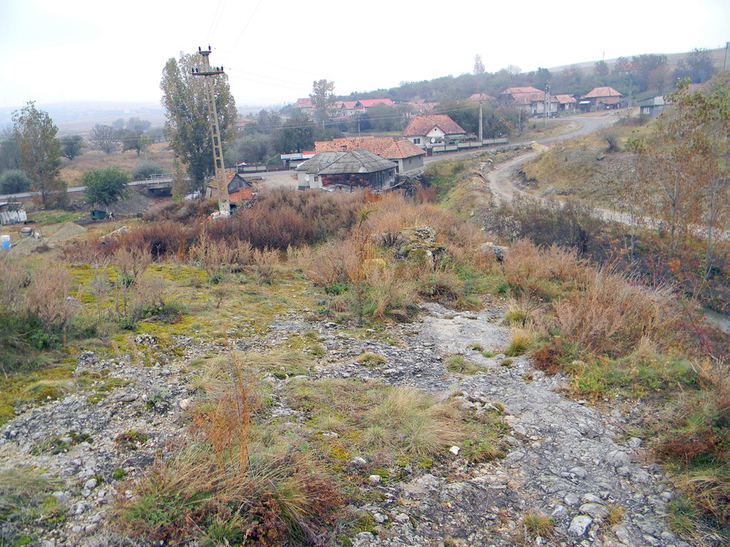 [DSCN43163.jpg]