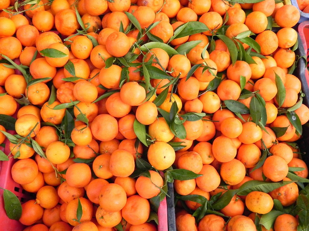 [sweet-orange-buns-104.jpg]