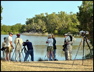 01e - Early Morning Eco Pond - Birders out in force