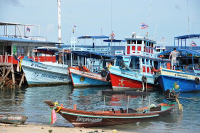 DSC_0245.JPG