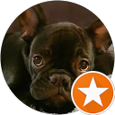 Image Google de lolie elo