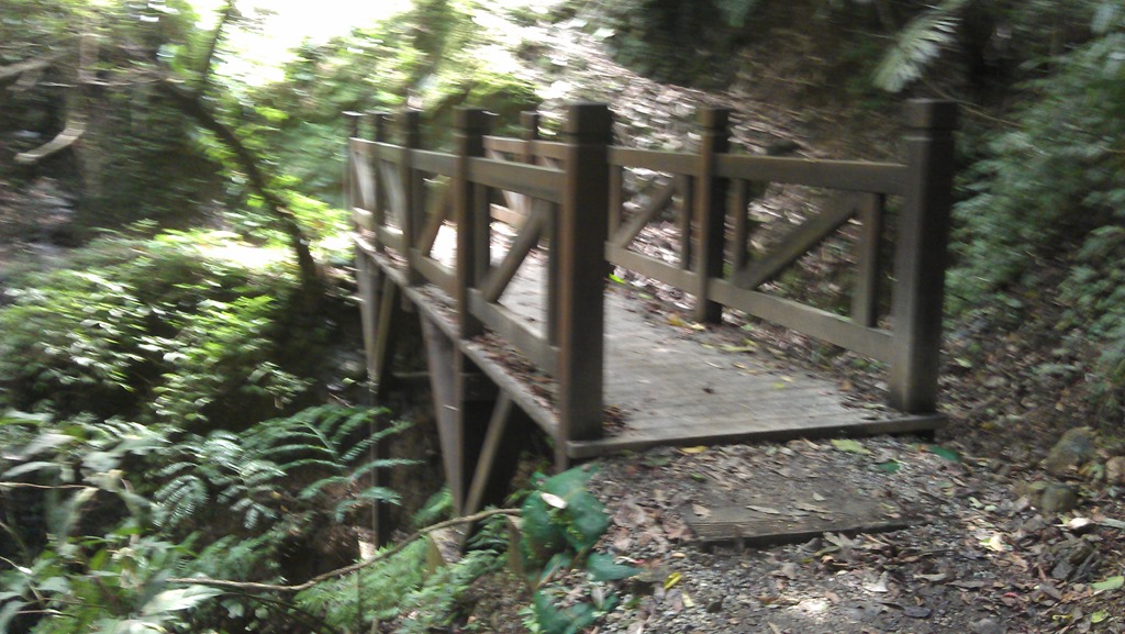 [IMAG0995%255B5%255D.jpg]