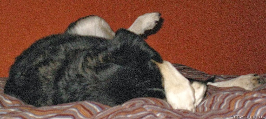 [IMG_3589%255B3%255D.jpg]