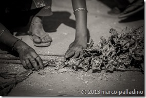 IMG_0040 (2)