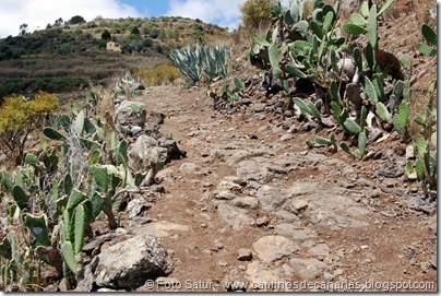 6195 Azuaje-Carretería-Azuaje 6195 Azuaje-Carretería-Azuaje