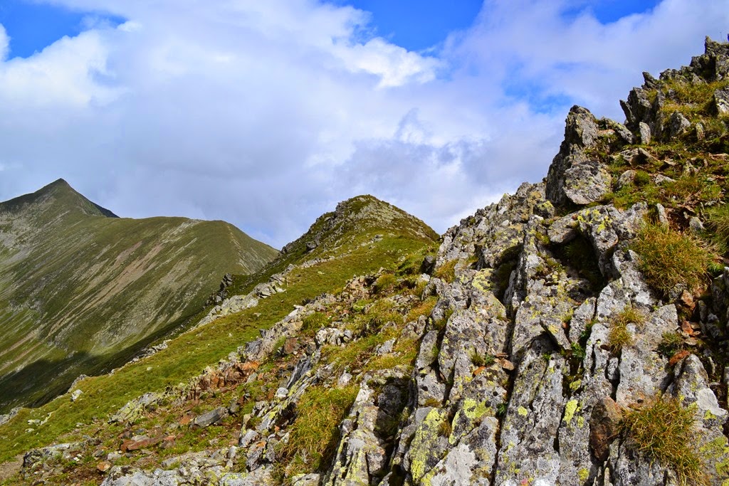 [DSC_51043.jpg]