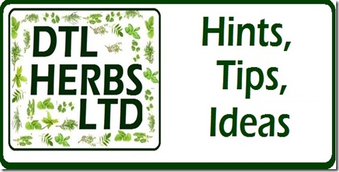 DTL Herb Hint Logo