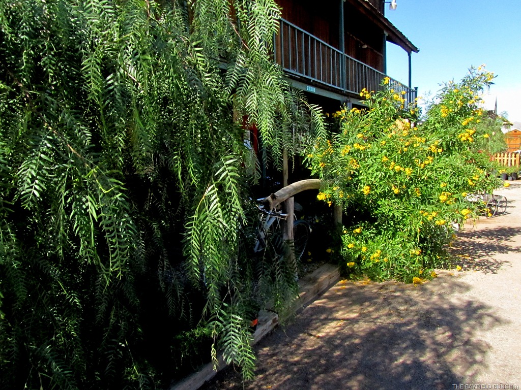 [IMG_0338%255B3%255D.jpg]