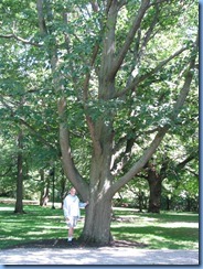 6455 Ottawa 1 Sussex Dr - Rideau Hall - Bill beside red oak planted by John F Kennedy