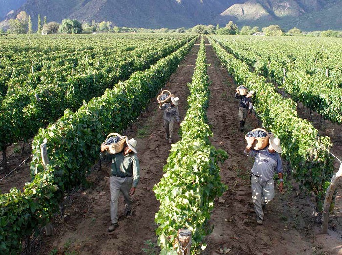 [museo%2520del%2520vino%2520cafayate5%255B4%255D.jpg]