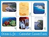 OCean-Life-Calendar-Connections3422