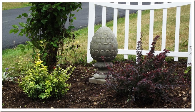 landscaping front fence 008