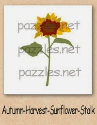 [sunflower-200%255B3%255D.jpg]