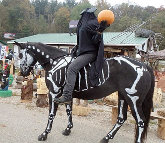 Cavalo esqueleto 02