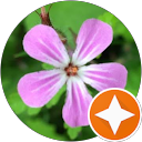 Image Google de Rems R