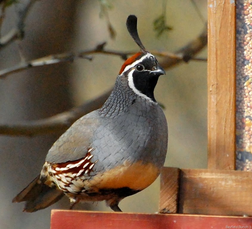 [DSC_2414%255B4%255D.jpg]