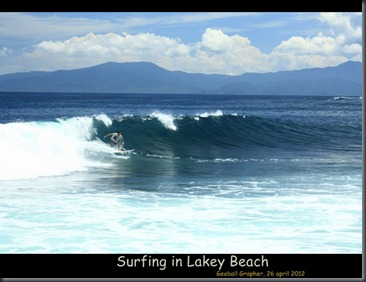 surfing_4957