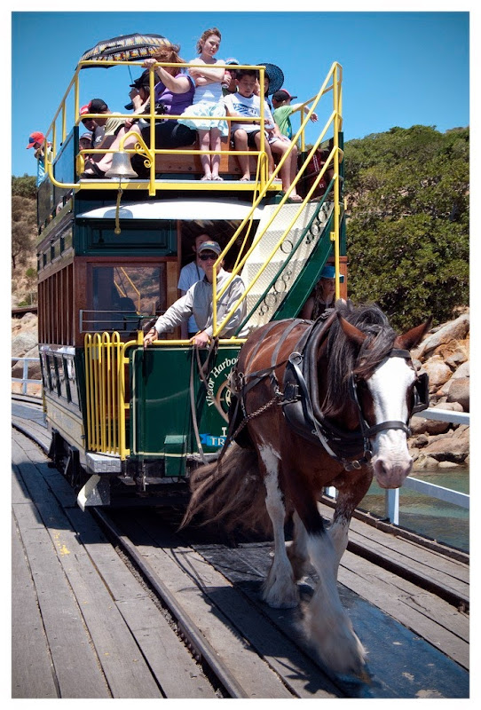victor-harbor-horse-trams-12