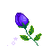 137.gif