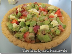 strawberry rhubarb crumb pie - The Backyard Farmwife