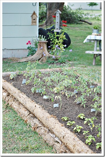 raised cedar log garden beds