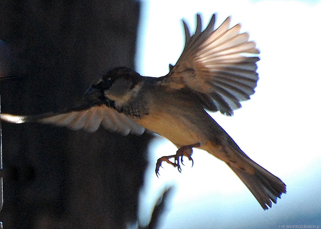 [DSC_8185%255B4%255D.jpg]