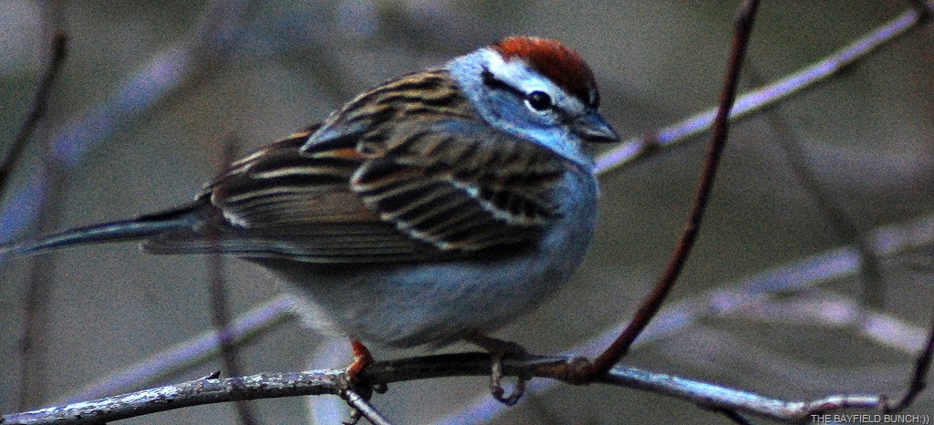 [DSC_9216%255B4%255D.jpg]